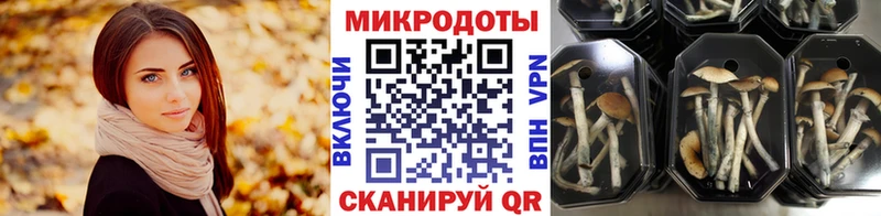 Псилоцибиновые грибы Magic Shrooms  omg ONION  Безенчук  купить  сайты 